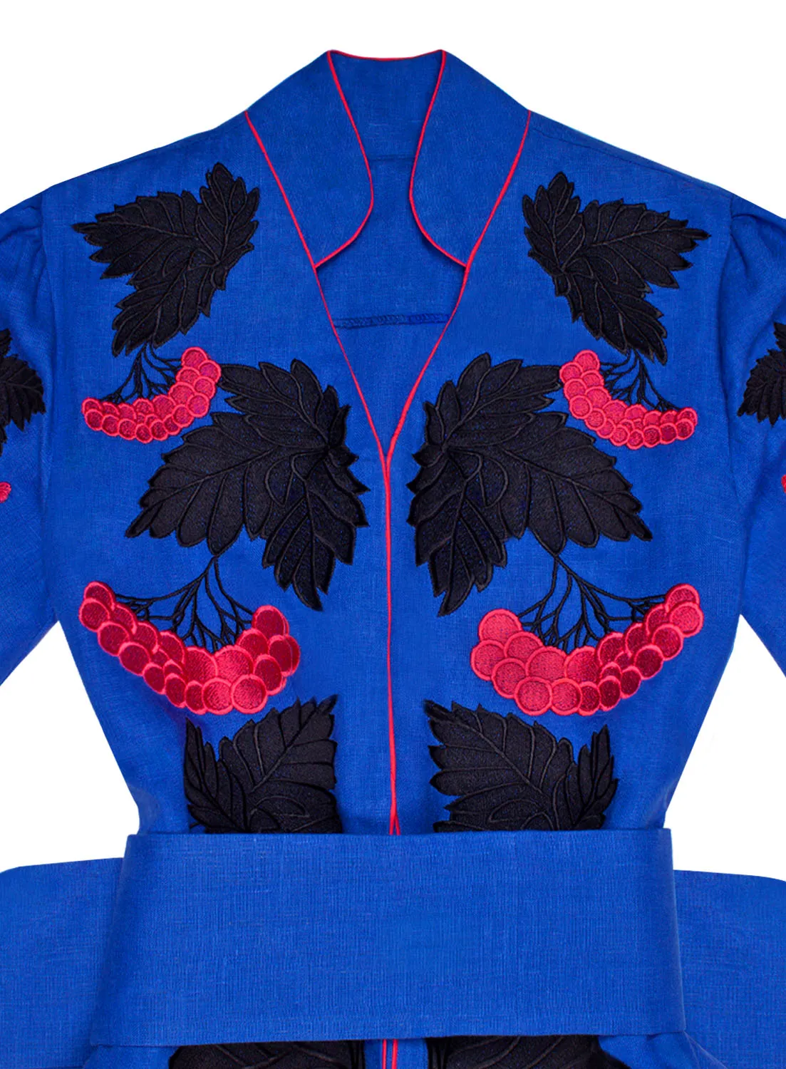 Blue embroidered dress