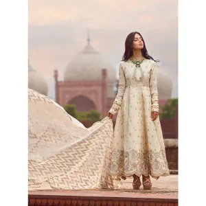 Decent Pakistani party wear dress online # P2620