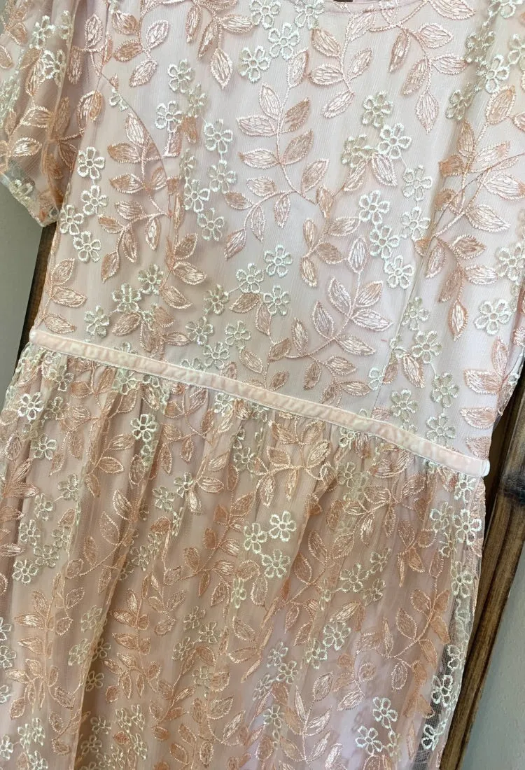 Demerie Embroidered Fit & Flare Dress