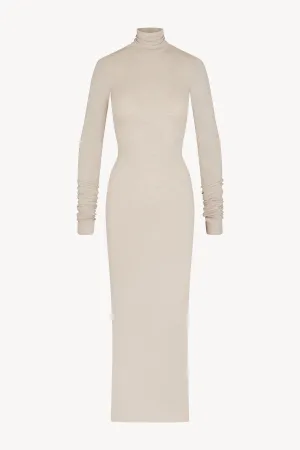 Long Sleeve Turtleneck Maxi Dress