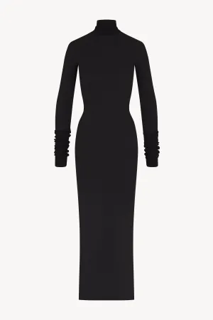 Long Sleeve Turtleneck Maxi Dress