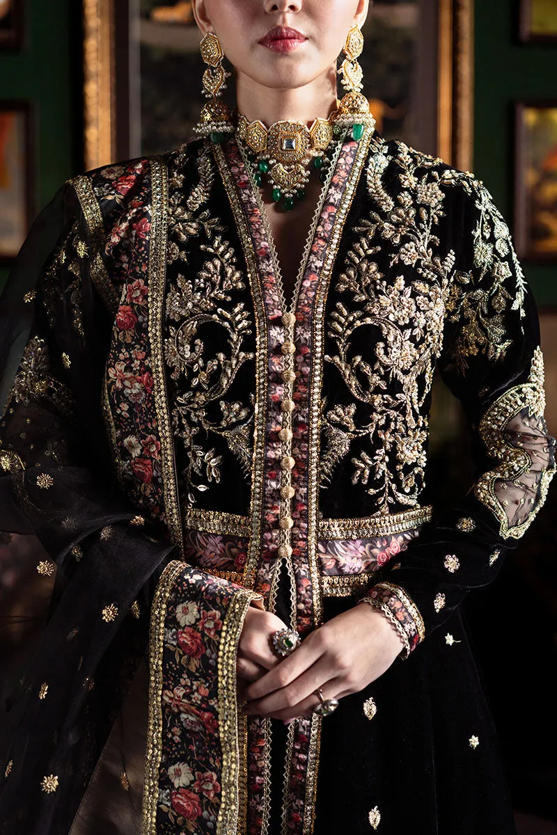 MUSHQ | NILOUFER UNSTITCHED VELVET EDIT | PARI