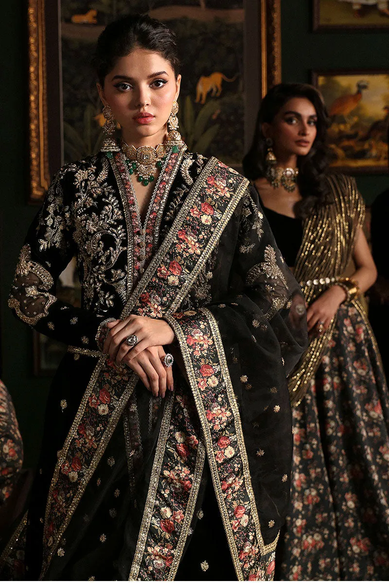 MUSHQ | NILOUFER UNSTITCHED VELVET EDIT | PARI