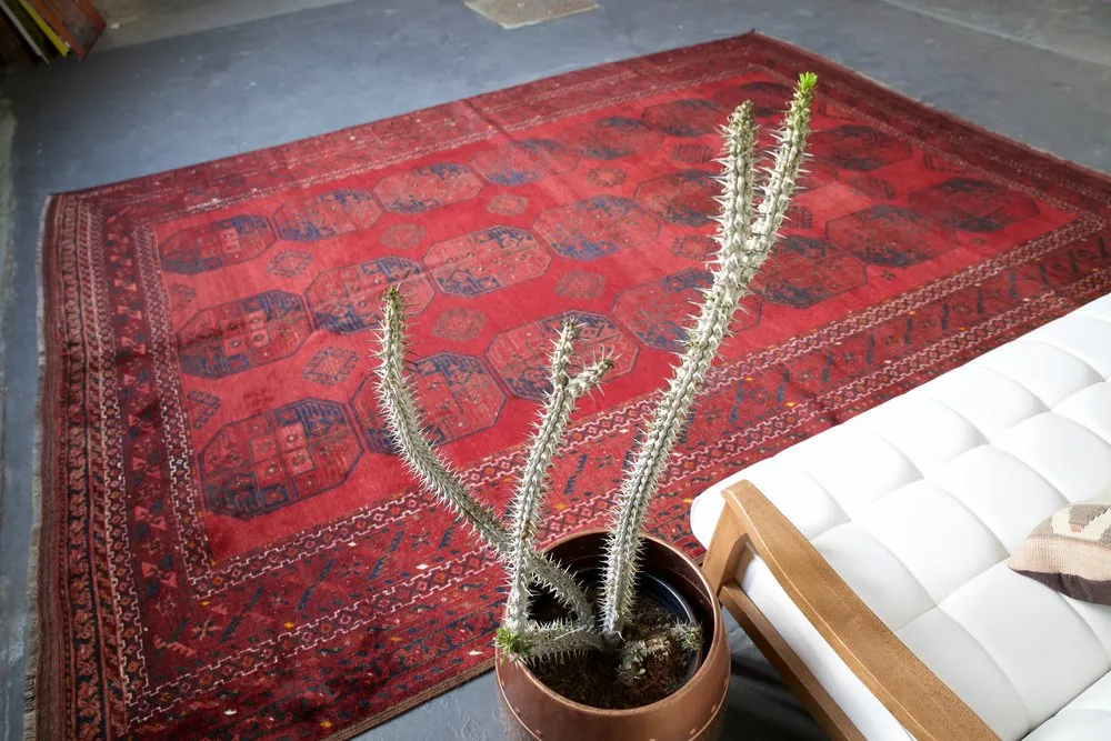 Old Turkmen Yomut Rug