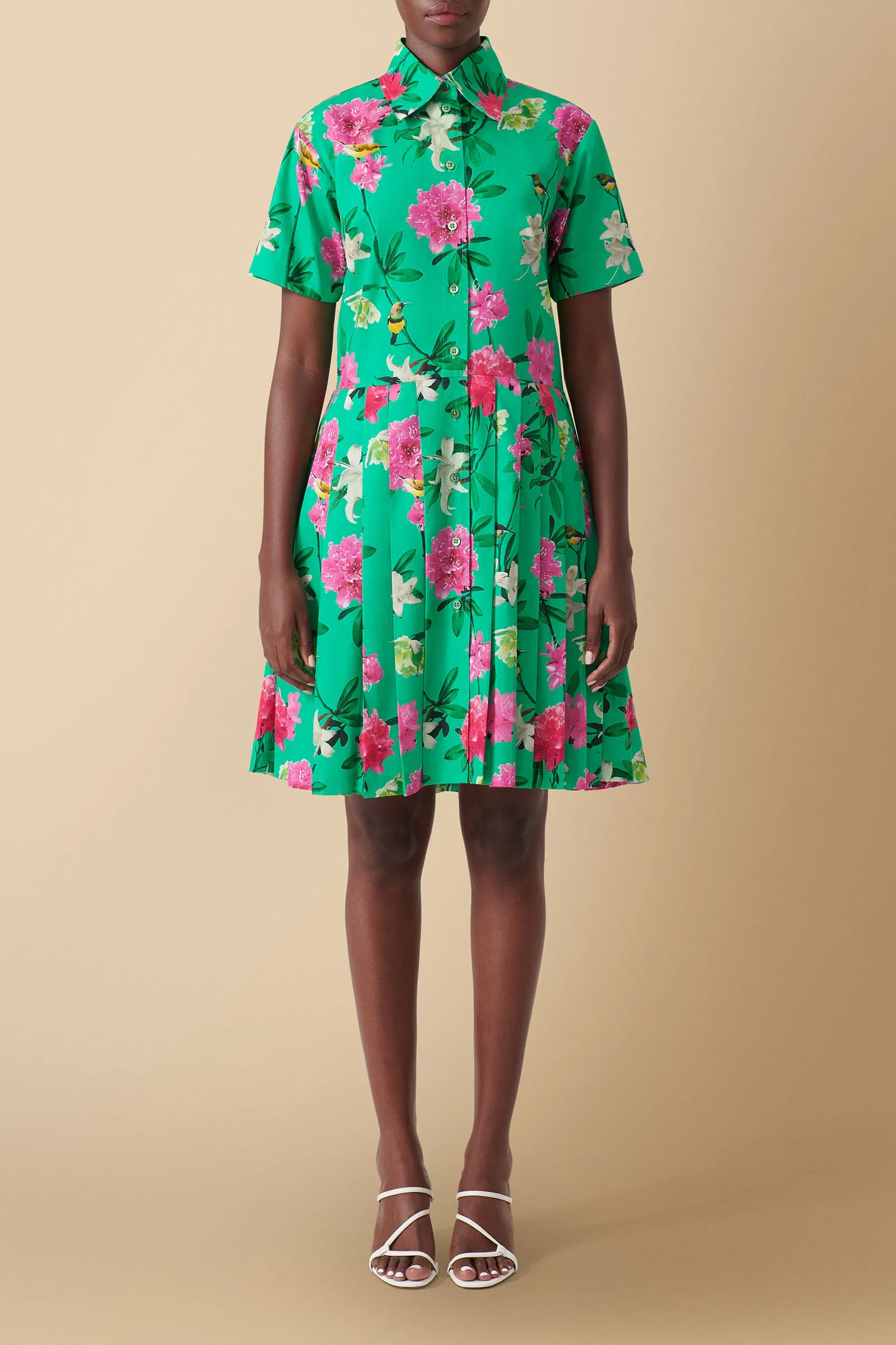 Pendo Floral Print Cotton Poplin Shirtdress in Green