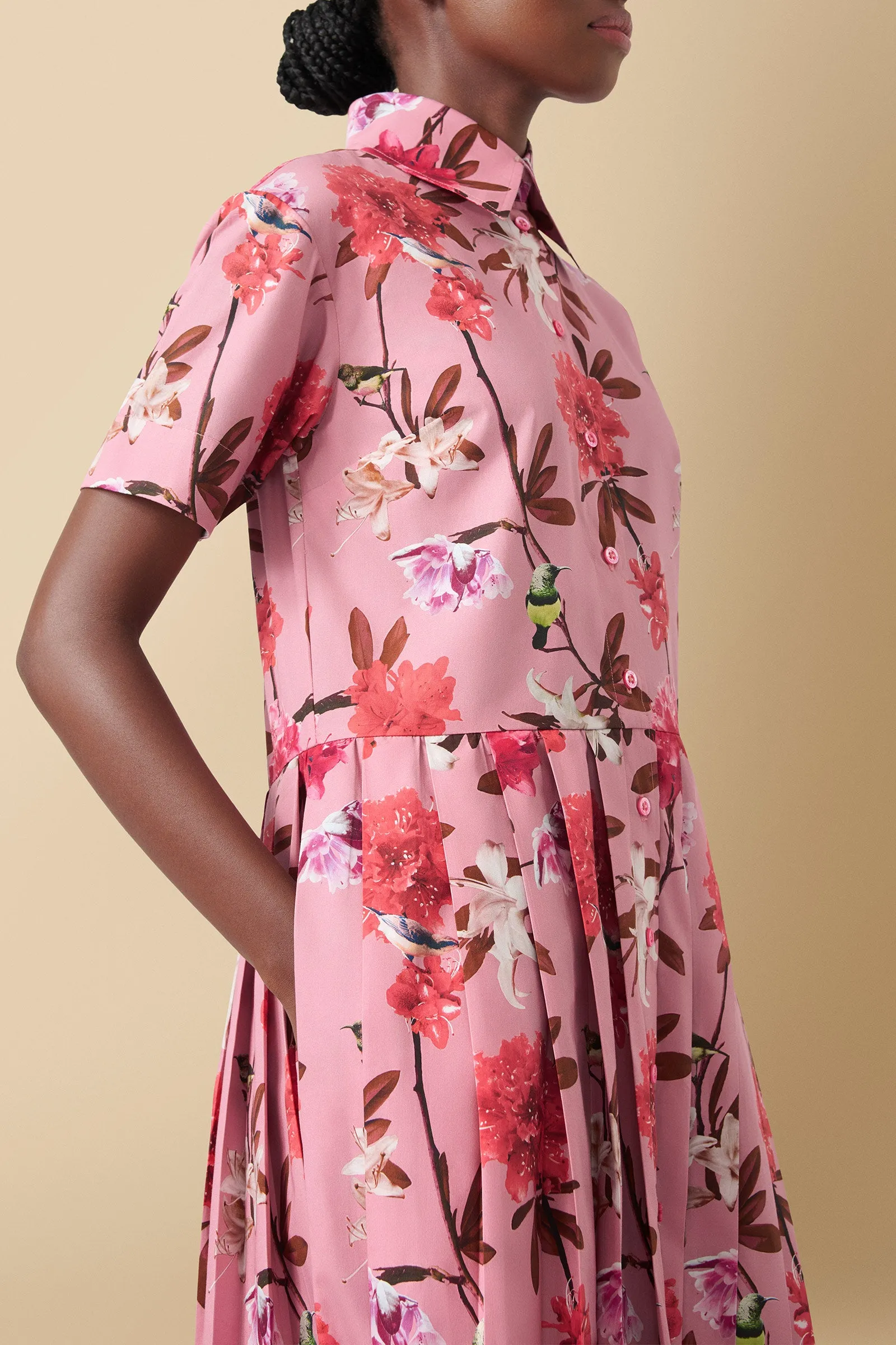 Pendo Floral Print Cotton Poplin Shirtdress in Pink