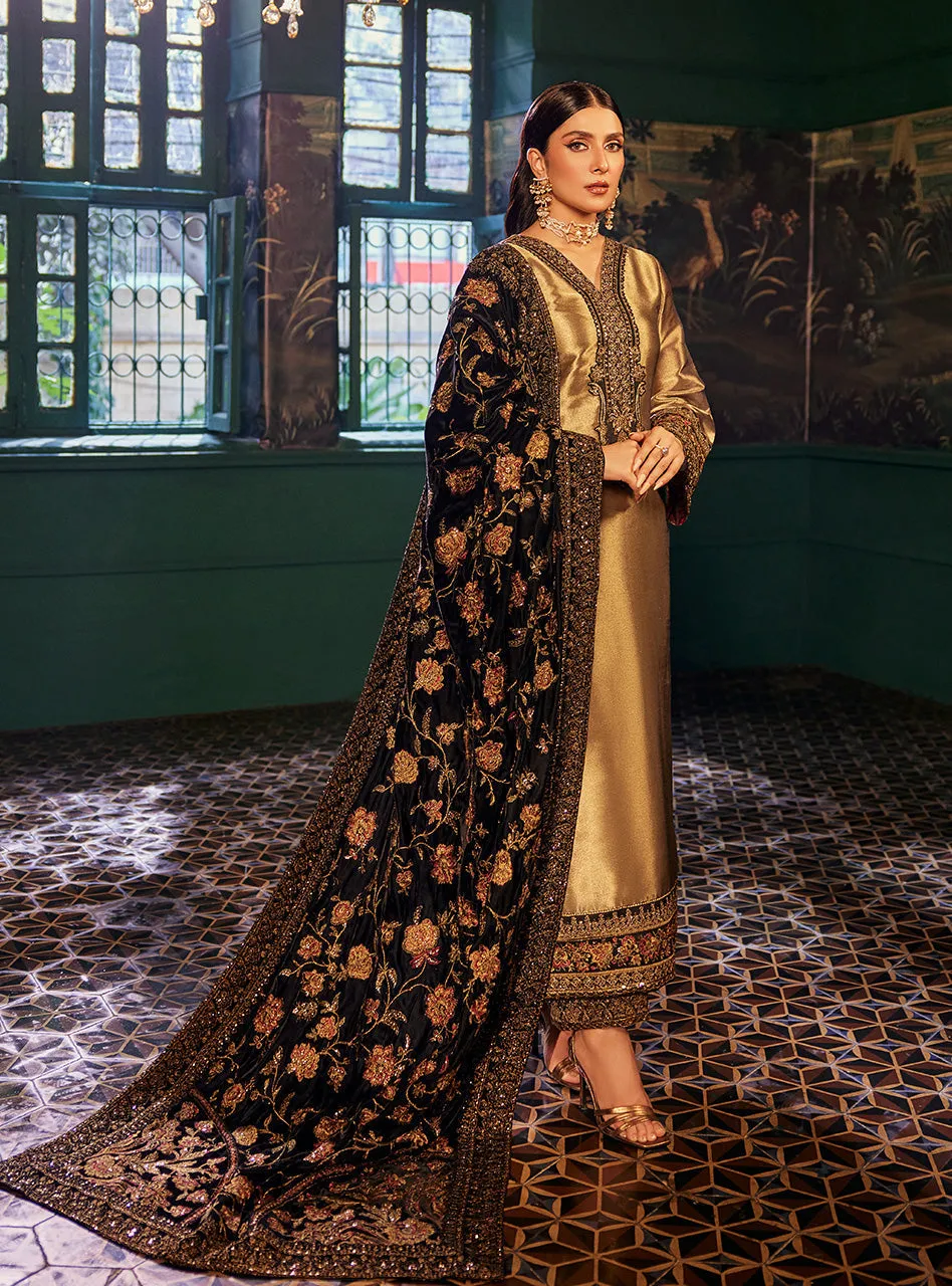 ZAINAB CHOTTANI VELVET COLLECTION '23 | MAYSA