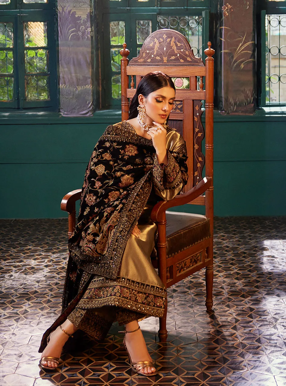 ZAINAB CHOTTANI VELVET COLLECTION '23 | MAYSA