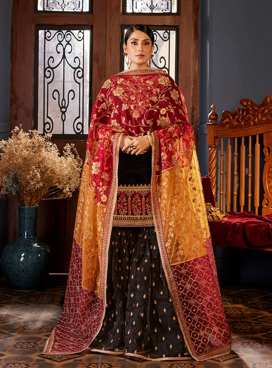 ZAINAB CHOTTANI VELVET COLLECTION '23 | MEHR MAH
