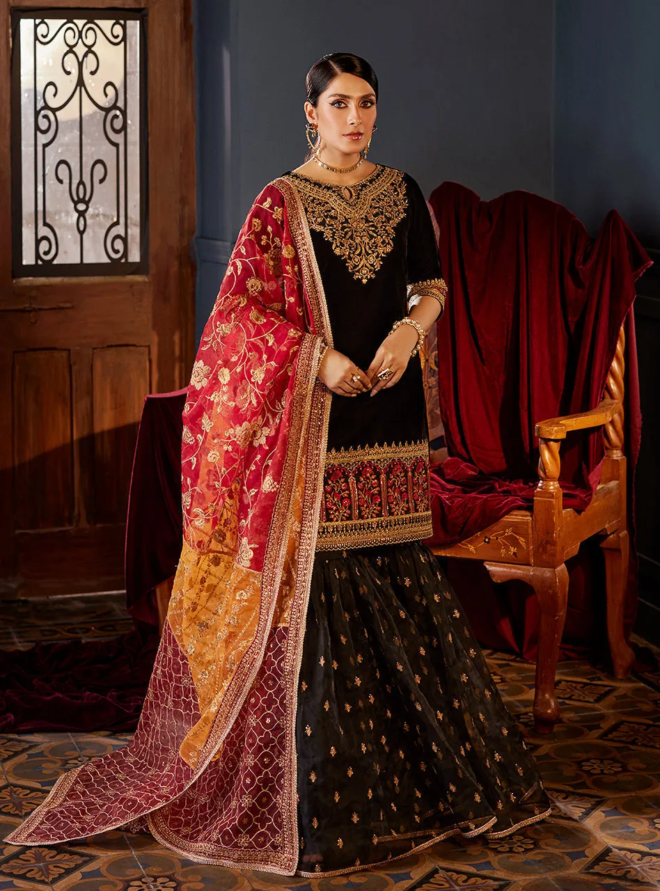ZAINAB CHOTTANI VELVET COLLECTION '23 | MEHR MAH