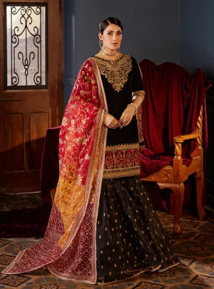 ZAINAB CHOTTANI VELVET COLLECTION '23 | MEHR MAH