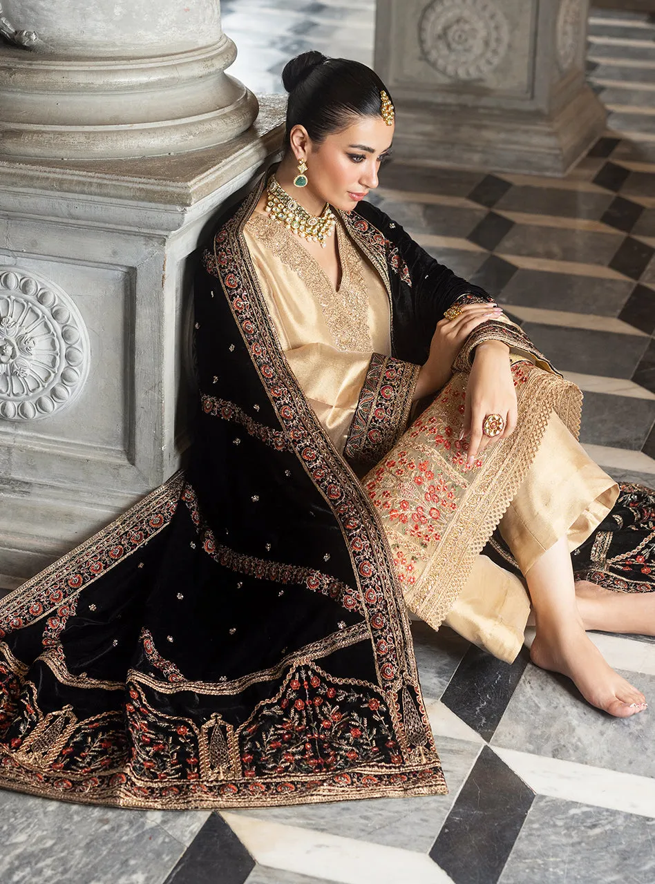 Zainab Chottani Velvet Collection '24 | MINHA
