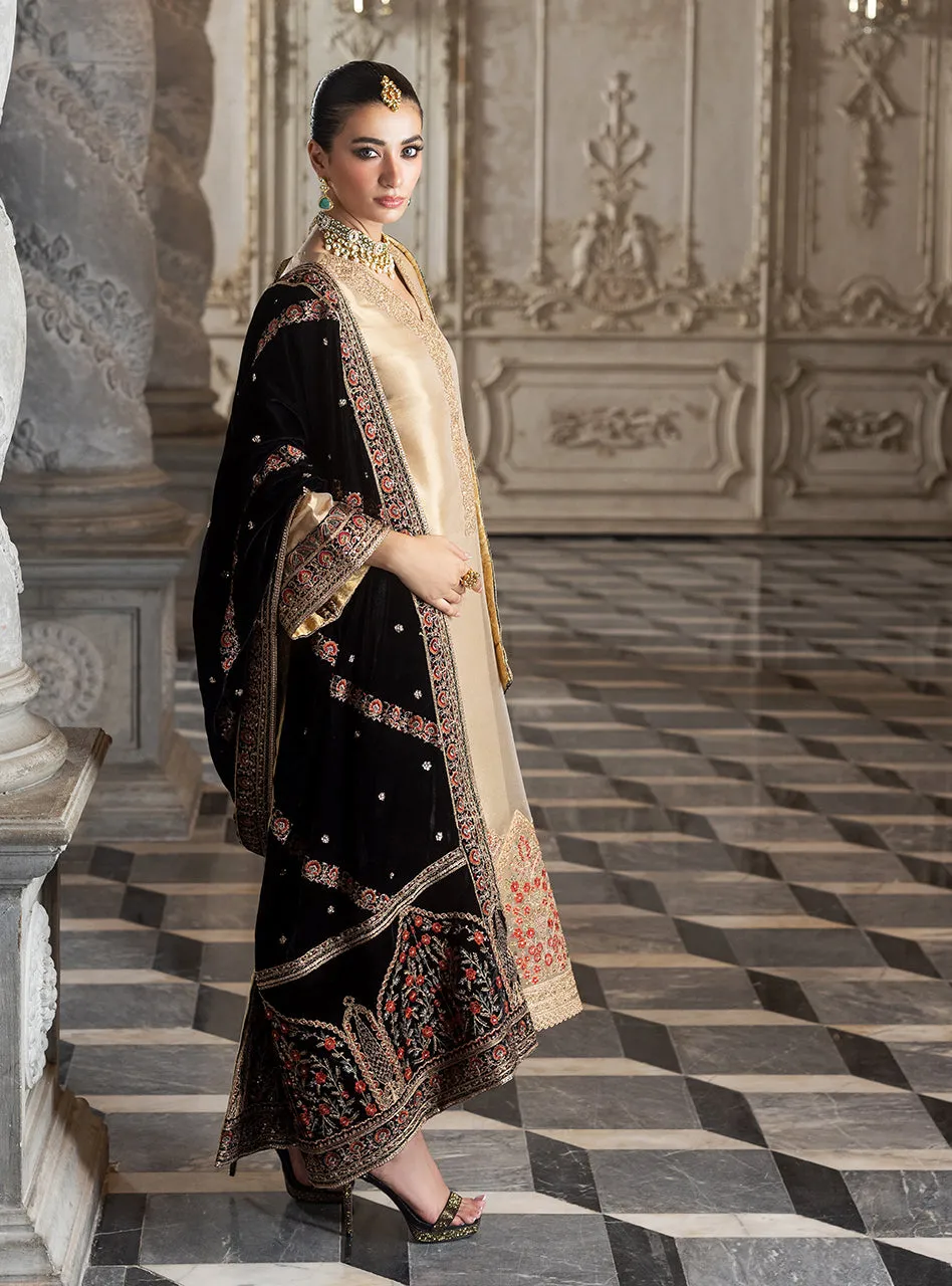 Zainab Chottani Velvet Collection '24 | MINHA