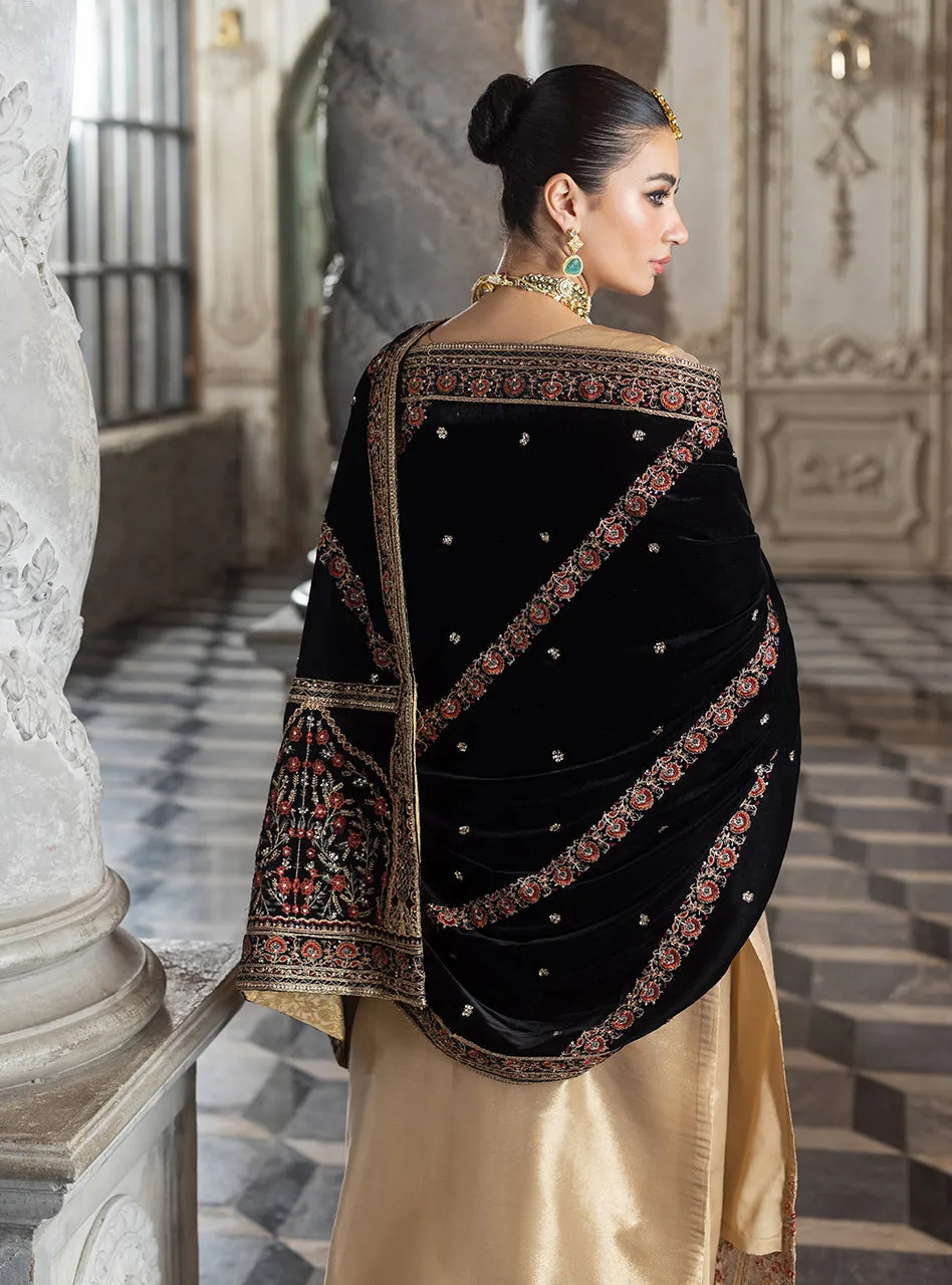 Zainab Chottani Velvet Collection '24 | MINHA