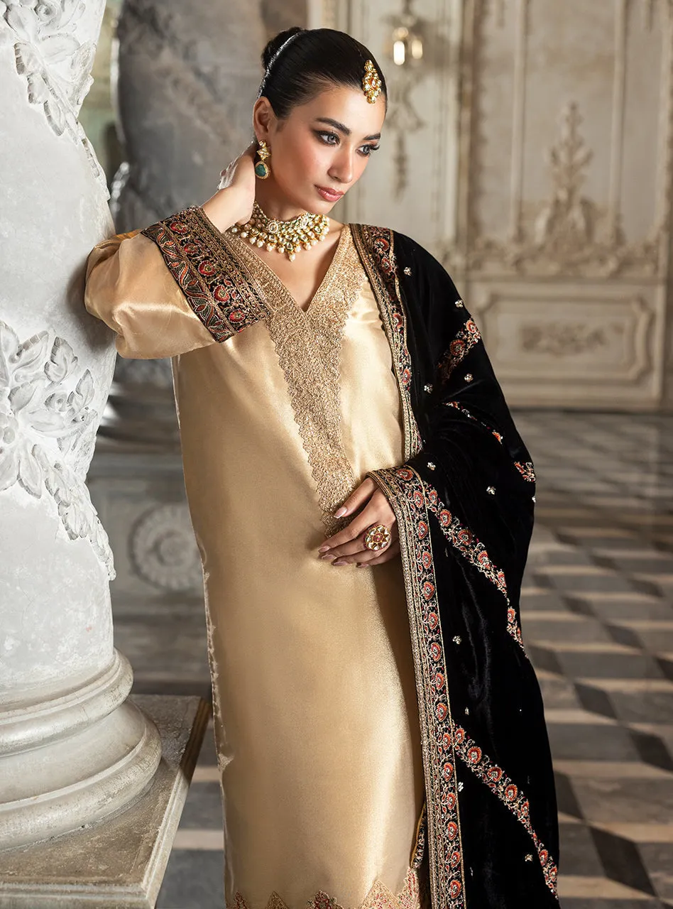 Zainab Chottani Velvet Collection '24 | MINHA
