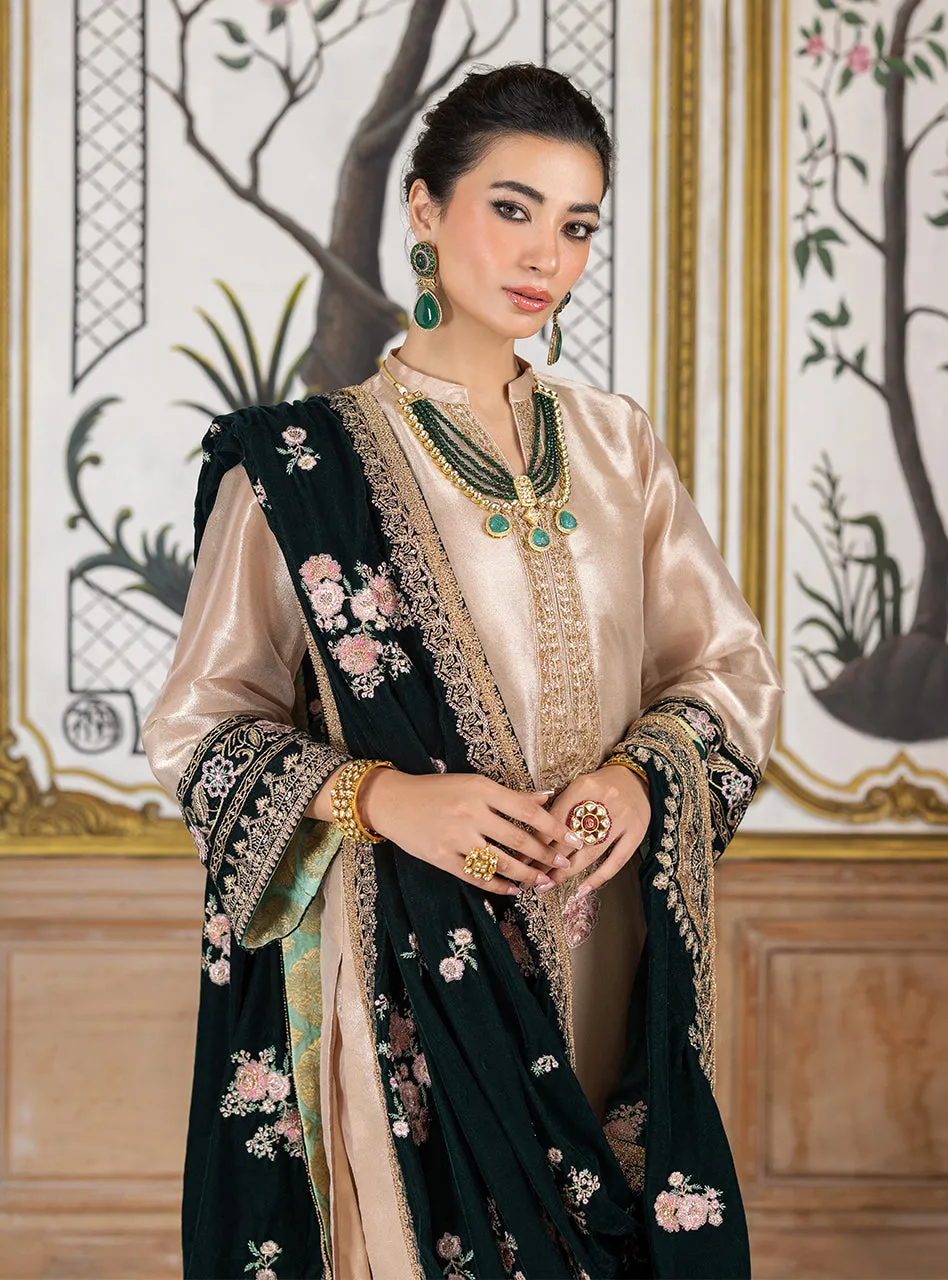 Zainab Chottani Velvet Collection '24 | SARVANA