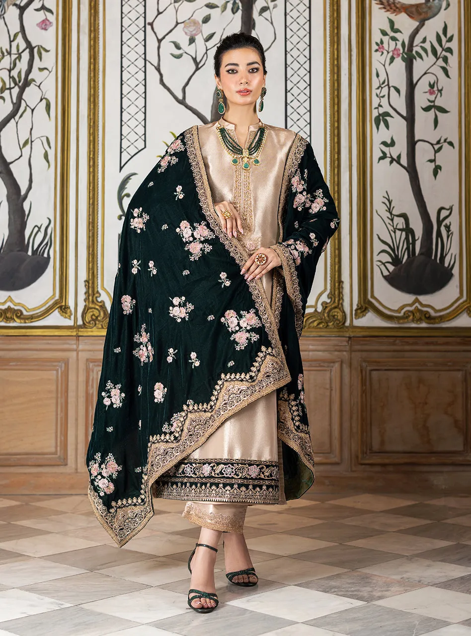Zainab Chottani Velvet Collection '24 | SARVANA
