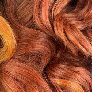 Zury Sis Honey Wig Synthetic HD Lace Front Wig - LF HW TAY