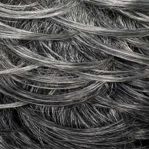 Zury Sis Ms. Wisdom Synthetic HD Lace Part Wig - LP DAWN